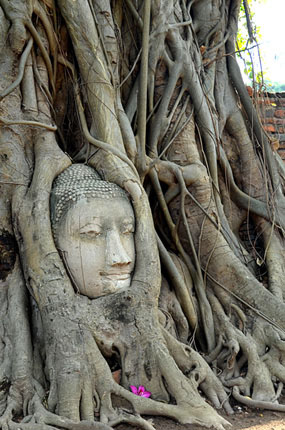 Ayutthaya